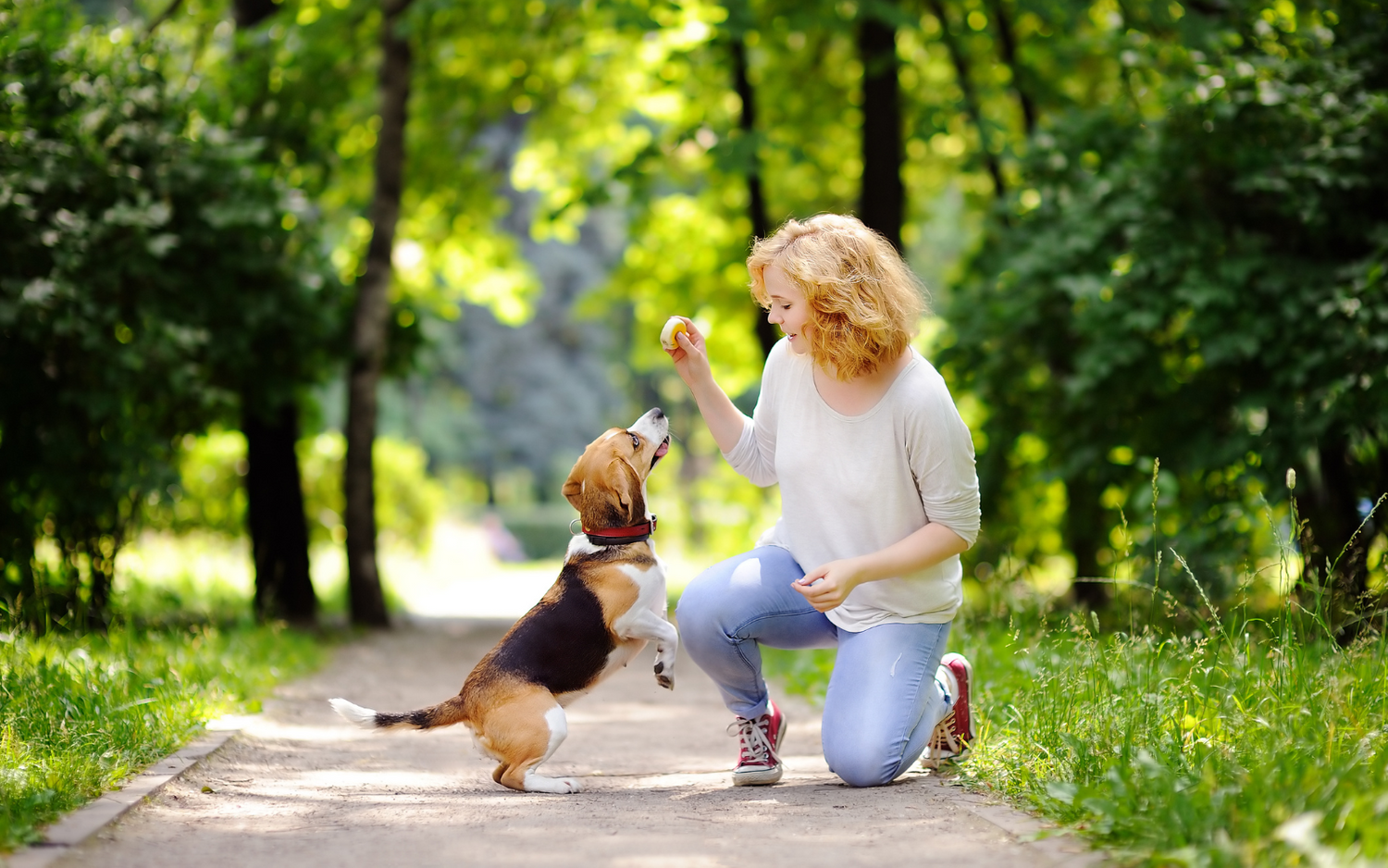 The Ultimate Guide to Pet Care: Ensuring Your Pet's Happiness and Health