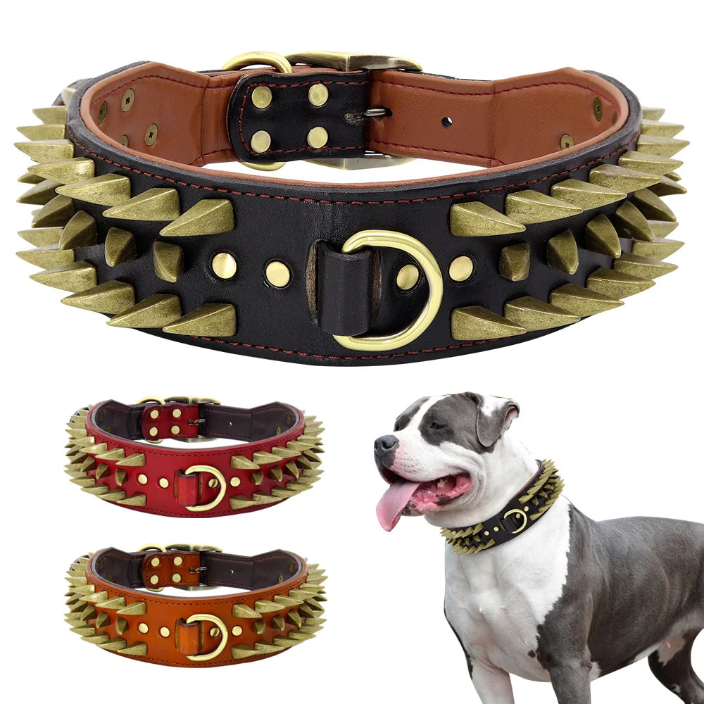 Training Collar for Large Dogs