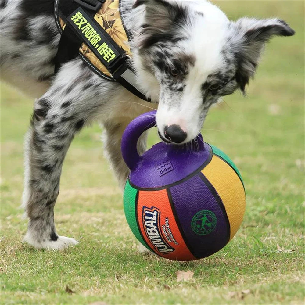 Dog Bite-Resistant Basketball