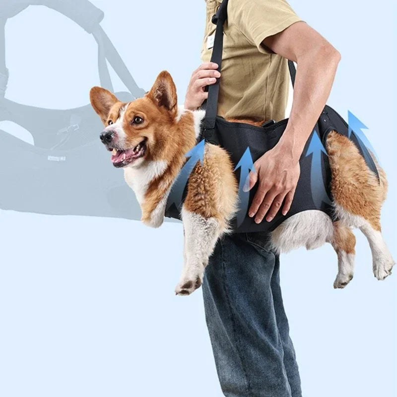 Large Dog Lift Harness