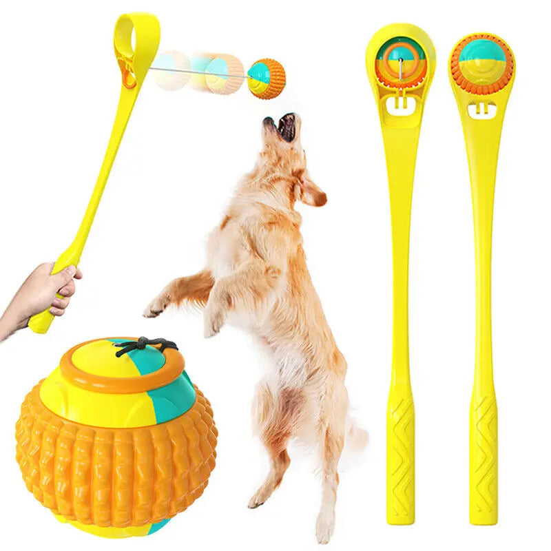 Dog Chew Toss Toy