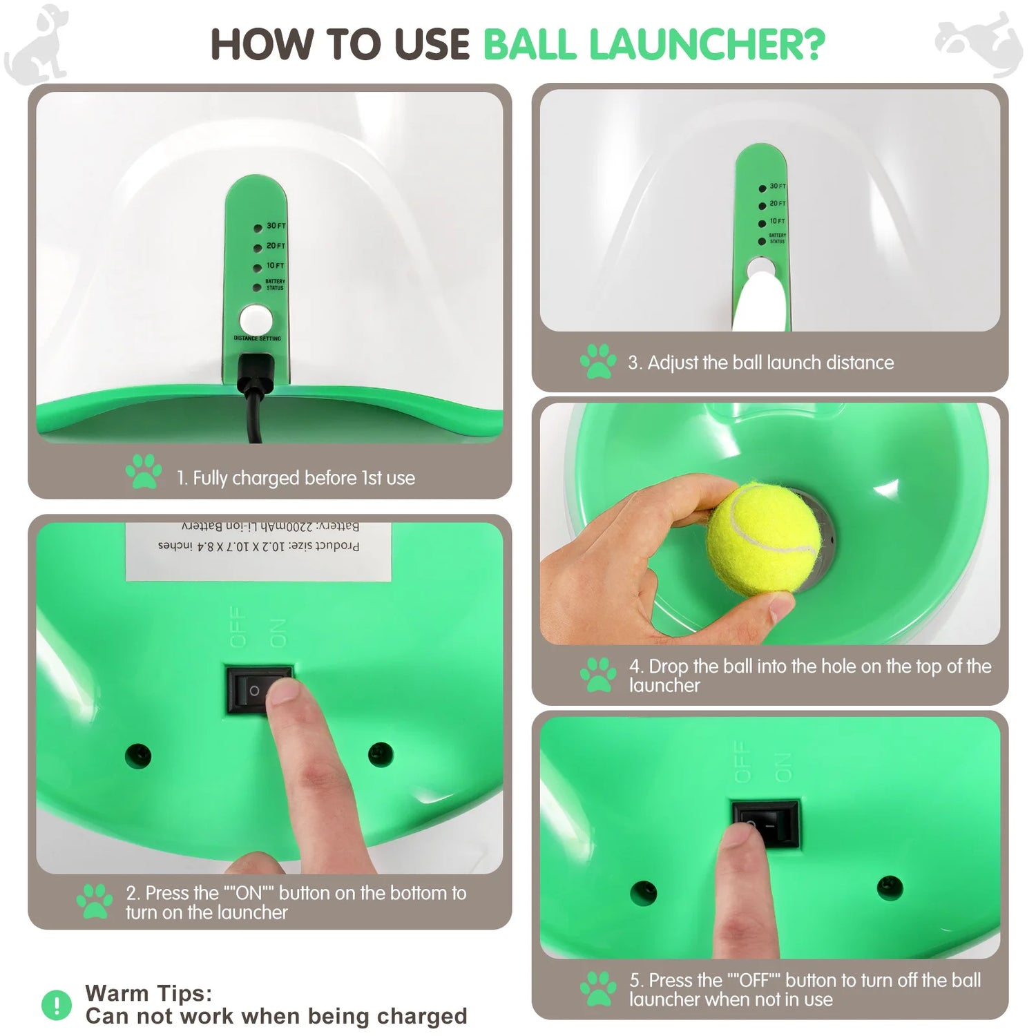 Automatic Tennis Launcher Dog Toy