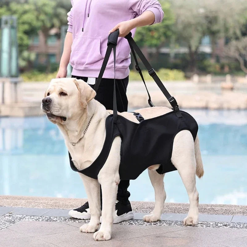 Large Dog Lift Harness