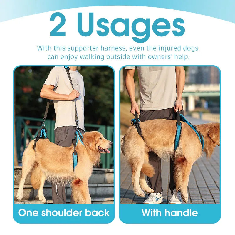 Dog Auxiliary Belt