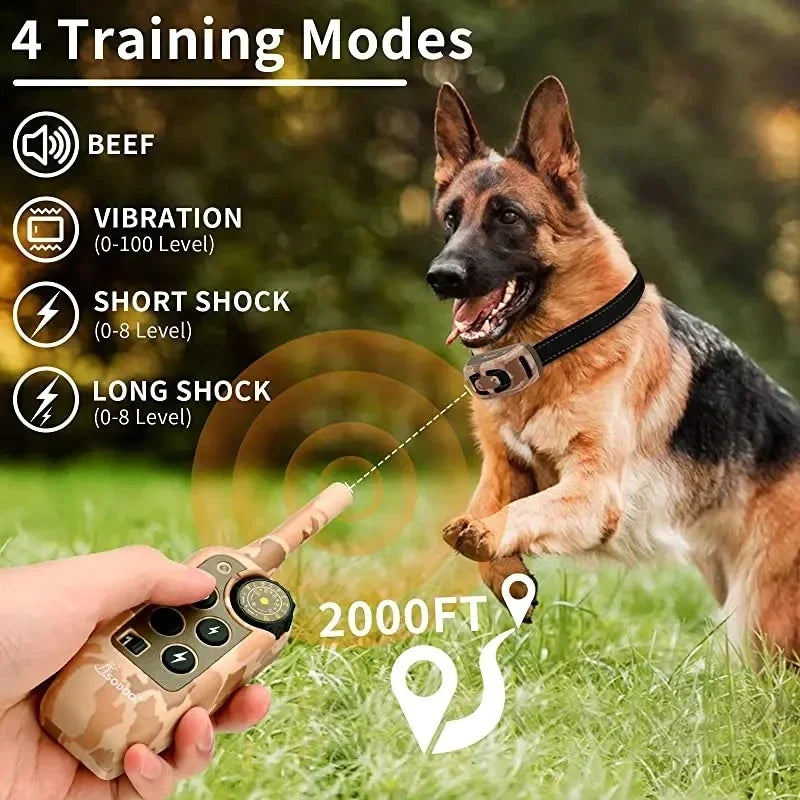 Remote-Control Bark Training