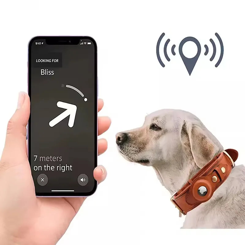 Apple Tracker Leather Harness