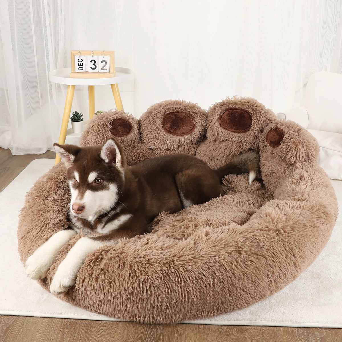 Cozy Pet Paw Sofa Bed