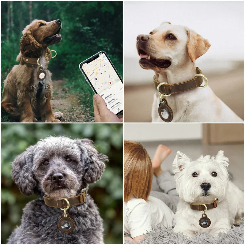 Genuine Leather Pet Collar