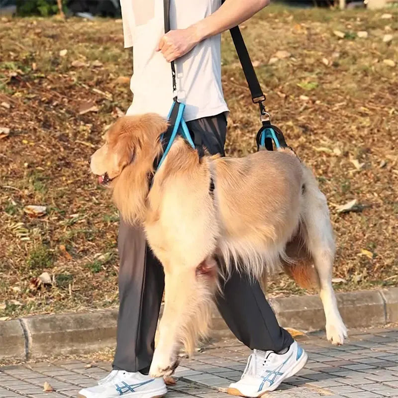 Dog Auxiliary Belt