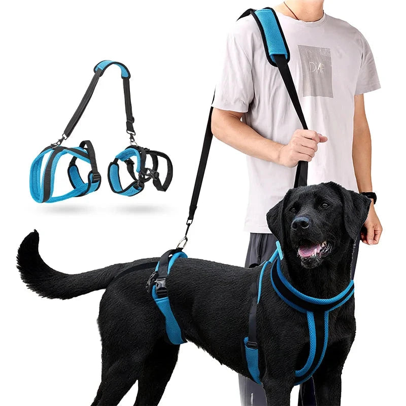 Dog Auxiliary Belt