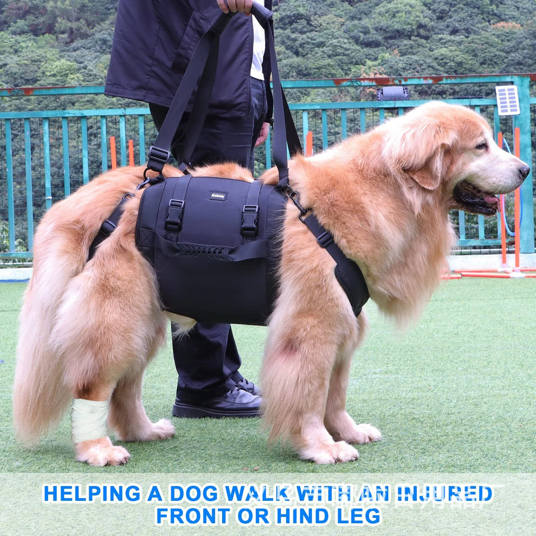 Dog Back Support Harness